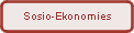 Sosio-Ekonomies