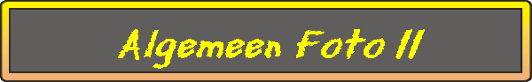 Algemeen Foto 11
